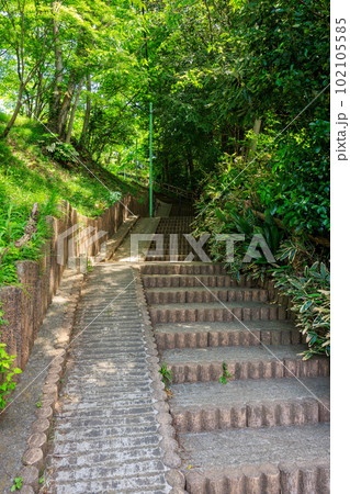丘の上の公園に続く階段 102105585