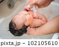 沐浴する新生児 102105610