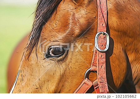 サラブレッド（パステル画） 【公式通販】