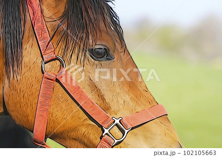 サラブレッド（パステル画） 【公式通販】