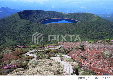ミヤマキリシマが咲く階段の登山道と大浪池の風景 102106172