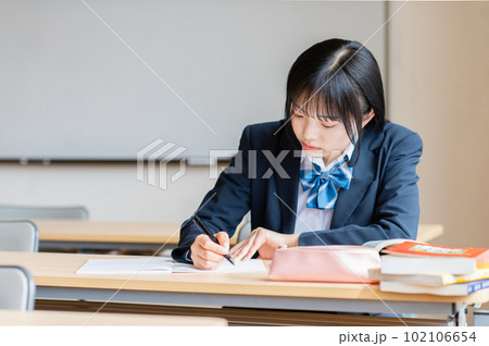 塾で勉強する女子高生 塾で勉強する女子高生 102106654