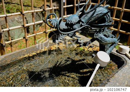 等々力不動尊の手水舎 102106747