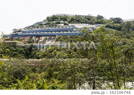 Generic industrial farming canopy in cameron highlands vegetable farming Generic industrial farming canopy in cameron highlands vegetable farming 102106748