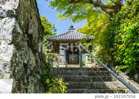 京都府亀岡市の如意山蔵宝寺　薬師堂 102107016
