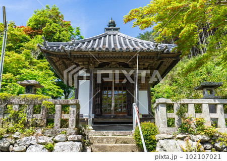 京都府亀岡市の如意山蔵宝寺　薬師堂 102107021