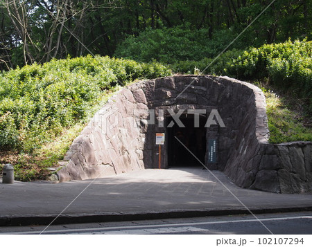 岩宿遺跡(B地点)（群馬県みどり市） 102107294
