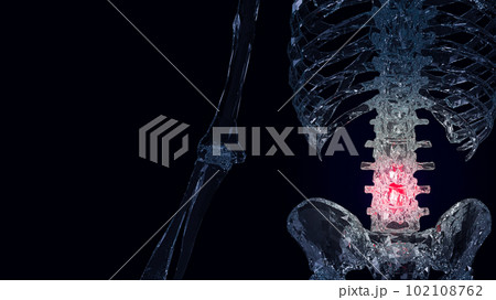 The crystal Skelton  for backache concept 3d rendering 102108762