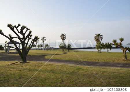 早朝の千里が浜 102108808