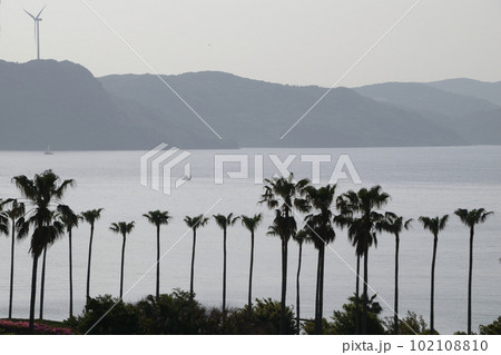 早朝の千里が浜 102108810