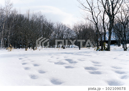知床の氷情景#88 102109078