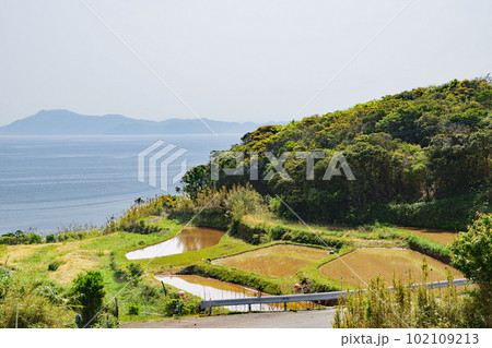 大碆断崖近くの棚田 102109213