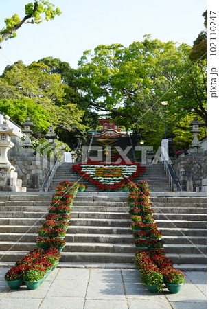大石段『花回廊』 102110247