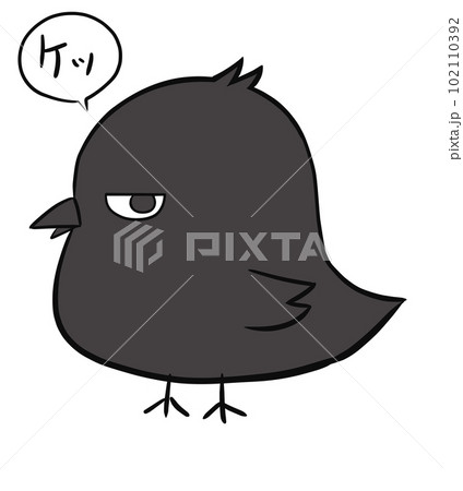 ケッと言うカラスのイラスト素材 [102110392] - PIXTA