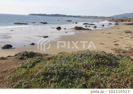 San Simeon beach California   102110523