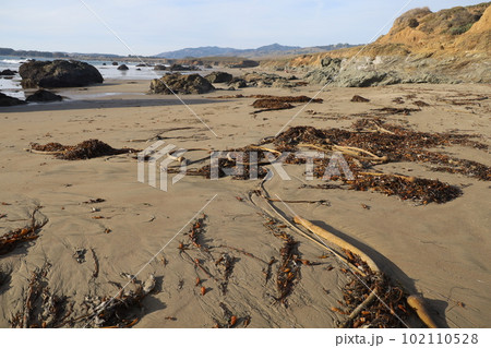 San Simeon beach California   102110528
