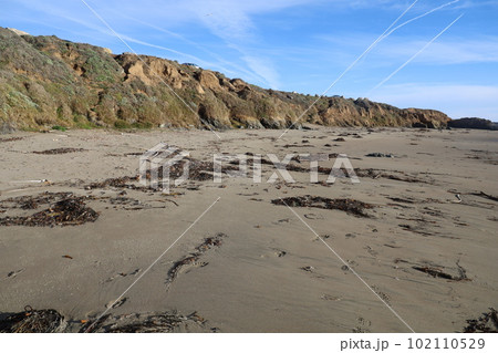 San Simeon beach California   102110529