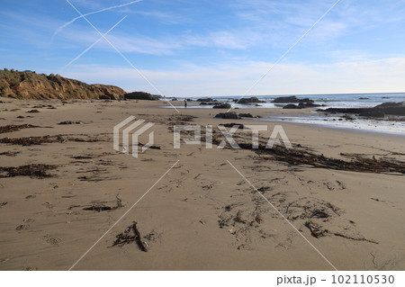 San Simeon beach California   102110530