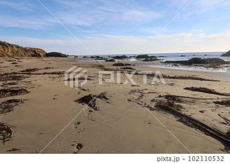 San Simeon beach California   102110532