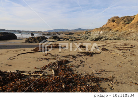 San Simeon beach California   102110534