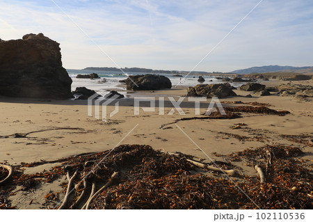 San Simeon beach California   102110536
