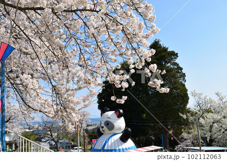 遊園地と桜 102112063