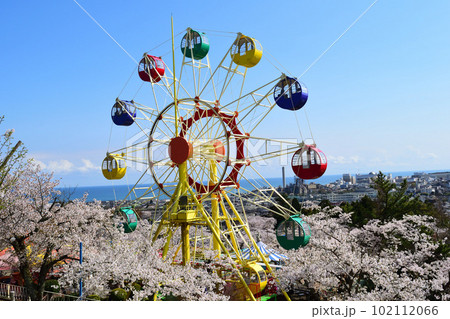 遊園地と桜 102112066