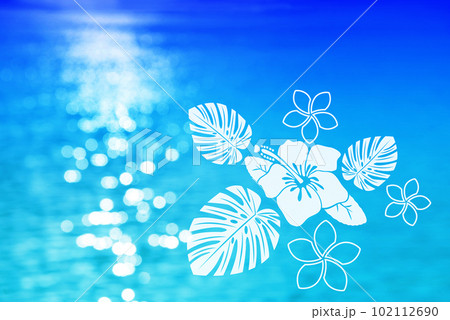 ハイビスカスと海 102112690