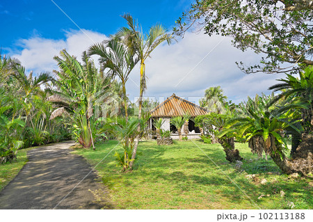 【石垣やいま村】 沖縄県石垣市名蔵 【石垣やいま村】 沖縄県石垣市名蔵 102113188