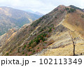 アカヤシオの咲く明るい春山 102113349