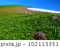 春山の風景 102113351