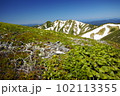春山の風景 102113355