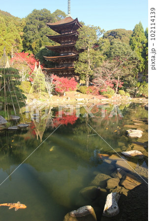 瑠璃光寺 紅葉の五重塔 102114139