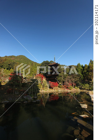 瑠璃光寺 紅葉の五重塔 瑠璃光寺 紅葉の五重塔 102114171