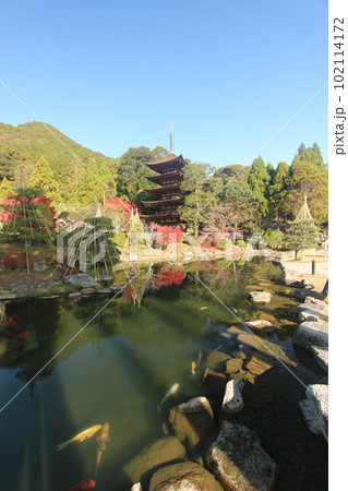 瑠璃光寺 紅葉の五重塔 102114172
