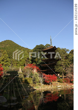 瑠璃光寺 紅葉の五重塔 102114199