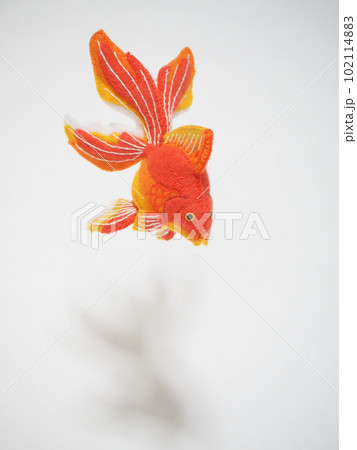 フェルト作品 琉金 フェルト作品 琉金 102114883