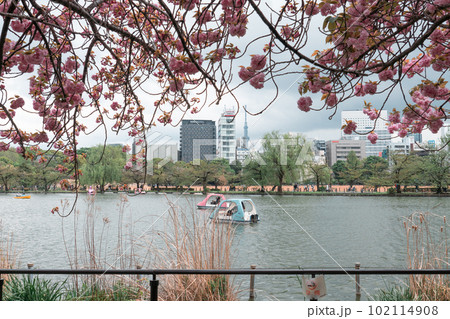 TOKYO, JAPAN - APRIL 8, 2023 TOKYO, JAPAN - APRIL 8, 2023 102114908