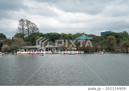 TOKYO, JAPAN - APRIL 8, 2023 TOKYO, JAPAN - APRIL 8, 2023 102114909