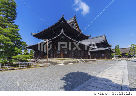 妙心寺　法堂　仏殿（京都花園） 102115126