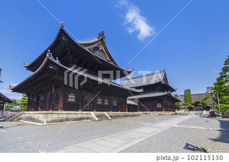 妙心寺　法堂　仏殿（京都花園） 102115130