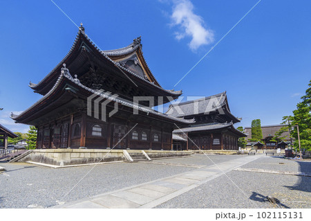妙心寺　法堂　仏殿（京都花園） 102115131