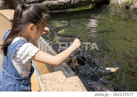 相模川ふれあい科学館　アクアリウムさがみはら名物　お魚にごはん 102115577