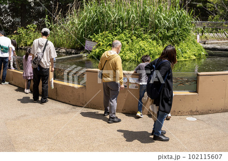 相模川ふれあい科学館 アクアリウムさがみはら 湧水と小川のアクアリウム 相模川ふれあい科学館 アクアリウムさがみはら 湧水と小川のアクアリウム 102115607