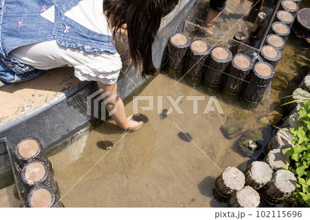 相模川ふれあい科学館　アクアリウムさがみはら　貝や小さな魚に触ることができるよ 102115696