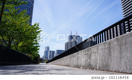 大阪市中之島堂島川と遊歩道 大阪市中之島堂島川と遊歩道 102116458