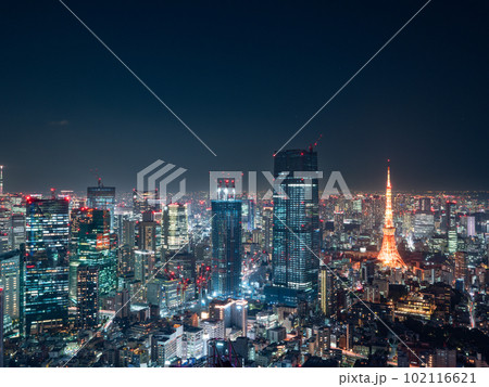 東京_冬色の東京タワーライトアップと大都会の絶景夜景風景 102116621