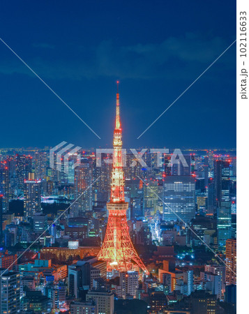 東京_冬色の東京タワーライトアップと大都会の絶景夜景風景 102116633