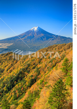 山梨_紅葉と富士山の絶景風景 山梨_紅葉と富士山の絶景風景 102117376
