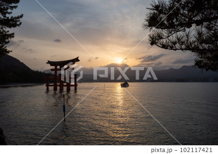 広島宮島厳島神社の大鳥居夕暮れ満潮 広島宮島厳島神社の大鳥居夕暮れ満潮 102117421